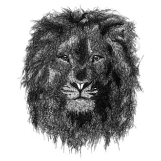 1764-nicolas-clothing-limited-edition-tee-shirt-king-leo-by-joaquin-auduit-2